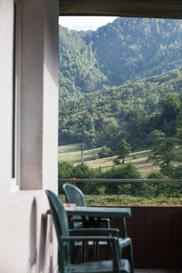 Time-Out - Valea Oltului Hotel Balota  Ngoại thất bức ảnh